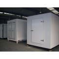 Fish Deep Freezer with Insulation